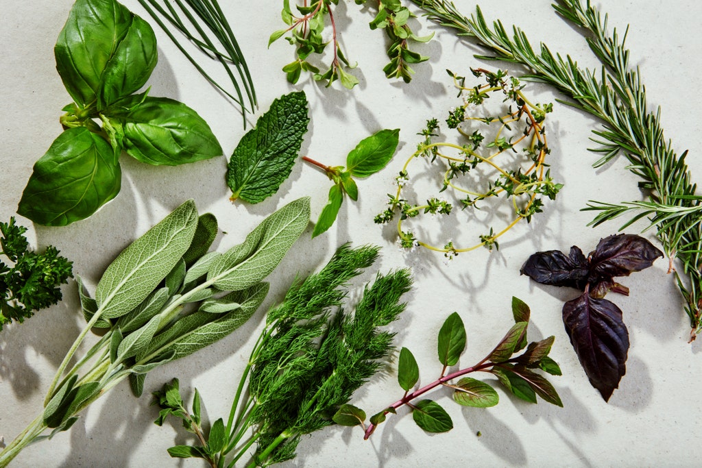 14 Types of Fresh Herbs and How to Cook With Them